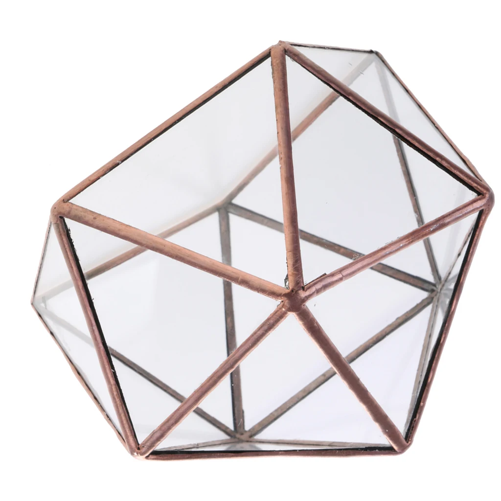 2 Pieces Different Kinds of Modern Glass Geometric Terrarium Box Tabletop Succulent Plant Planter