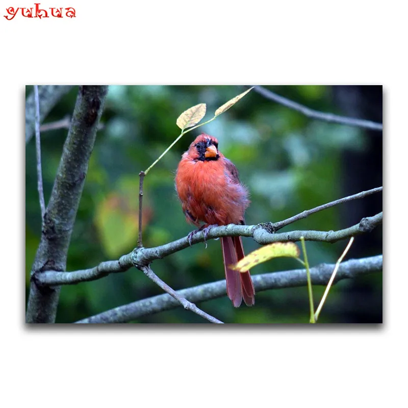 DIY 3D Diamond painting red parrot Full Square embroidery Cross stitch Starling Round mosaic animal bird | Дом и сад