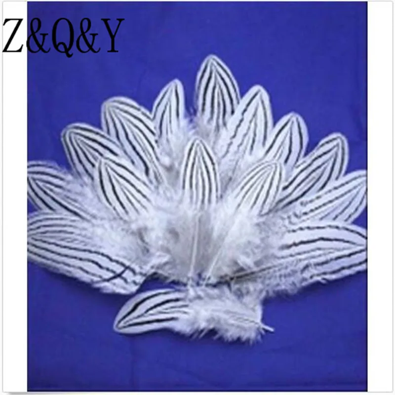 Z & Q Y Природный 25 виды перья фазана 20 PcsDIY перо Jewelry аксессуары для макияжа