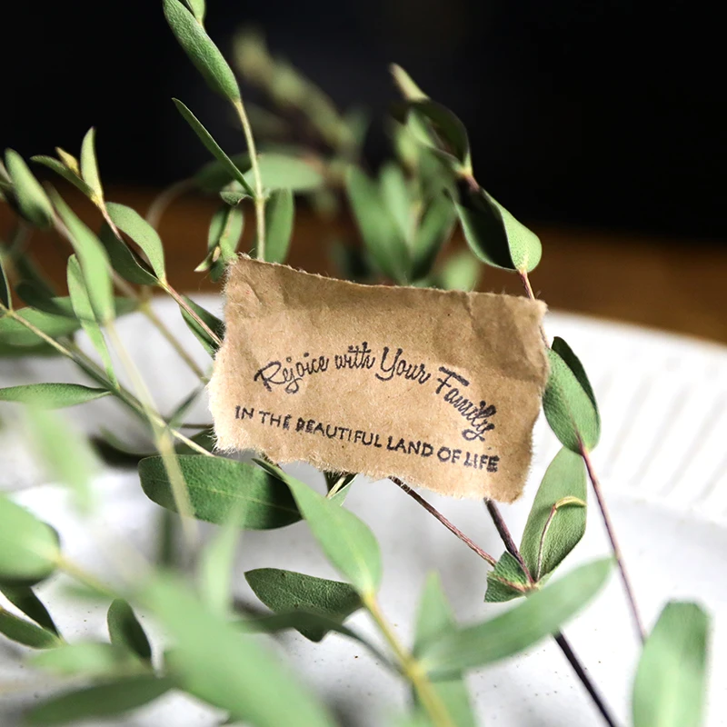 Ретро Европейский персонаж растения маленький ангел vintageпрозрачный прозрачный силиконовый штамп/печать DIY Скрапбукинг изготовление карт