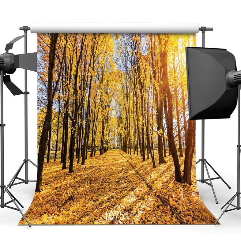Buy Custom Vinyl Cloth Photography Backdrops Autumn