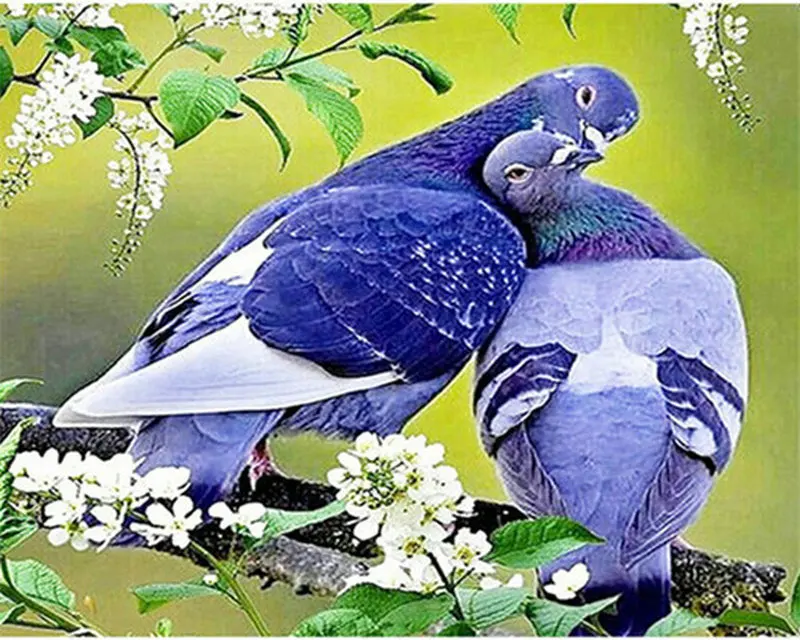 Full Square Round Drill 3D DIY Diamond Painting Pigeon 3D Diamond Embroidery Cross Stitch Mosaic Rhinestone Decor (2)