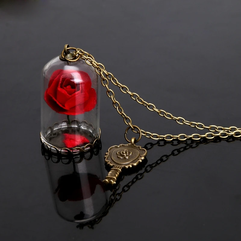 Regalo de las mujeres Romántico Flores secas Colgante de vidrio Bronce Collar de cadena larga Regalo de las mujeres Romántico Flores secas Colgante de vidrio Bronce Collar de cadena larga