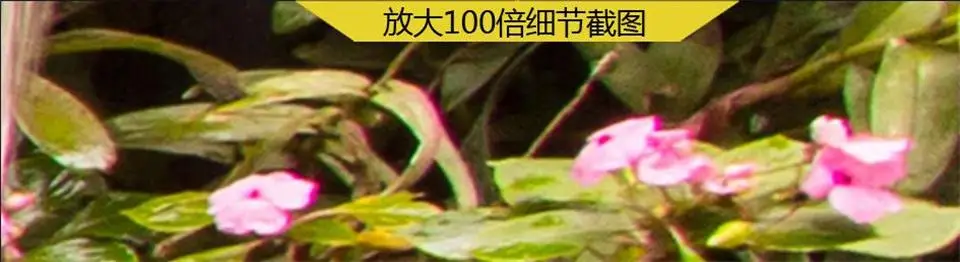 36020160904235720572