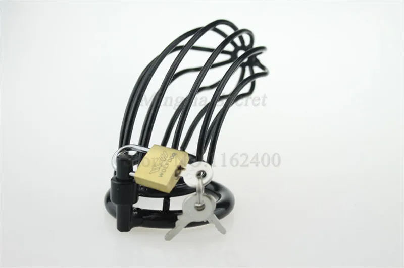 2998229693_1728770533