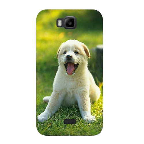 

Luxury Painting Coque Cover For Huawei Honor Bee Y541 Y5C Colorful Cute Drawing Phone Shell Back cover Ultra Thin Protector Case