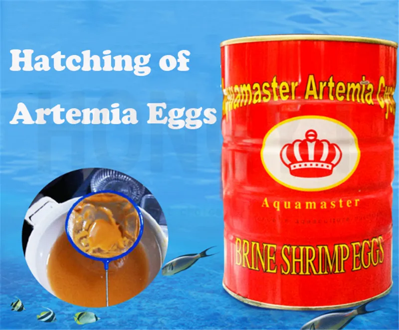 

1 piece granules 425g artemia shrimp eggs fish and shrimp feed high hatching rate big red eggs can hatch seedlings