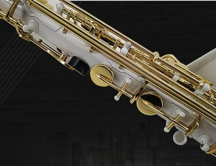 New high quality Alto Saxophone France Selmer R54 Sax Professional E flat Saxofone Musical Instruments performances Free Case New high quality Alto Saxophone France Selmer R54 Sax Professional E flat Saxofone Musical Instruments performances Free Case
