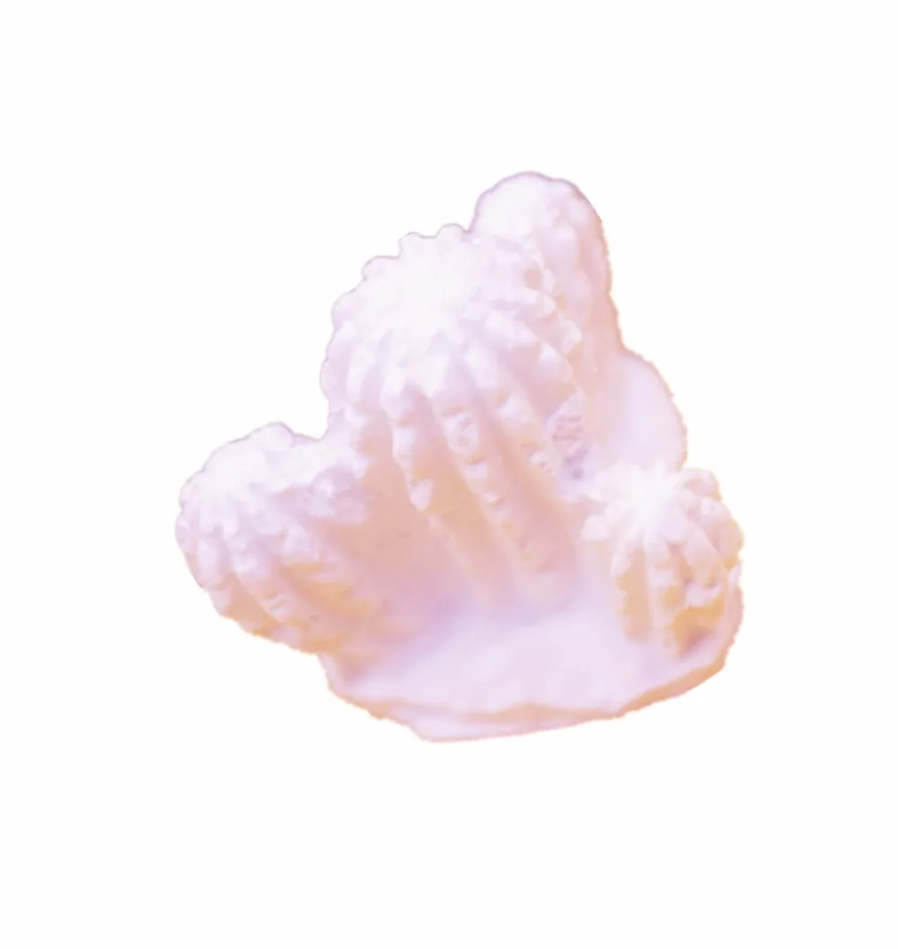 

Three dimensional gypsum mould stereoscopic cactus hand made soap mould plaster mold