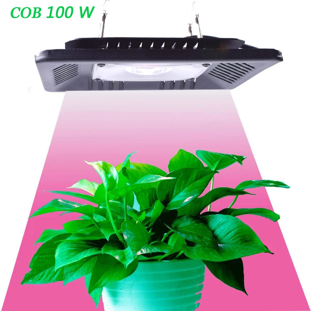 Top Led Grow Light Full Spectrum 100W Waterproof IP67 COB ...