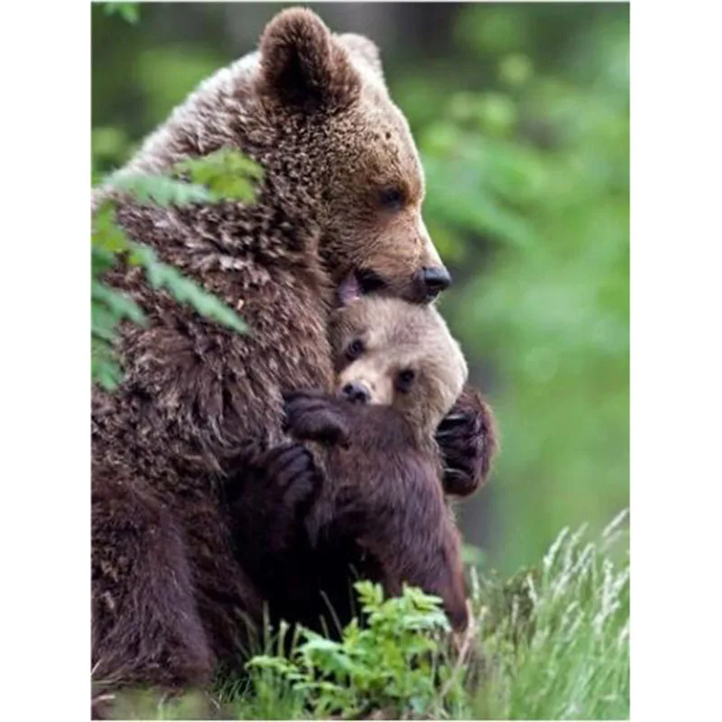 Full Square/Round Diamond Painting Bear Embroidery Animal Pictures Rhinestone Mosaic Cross Stitch Home Decor hh436 | Дом и сад