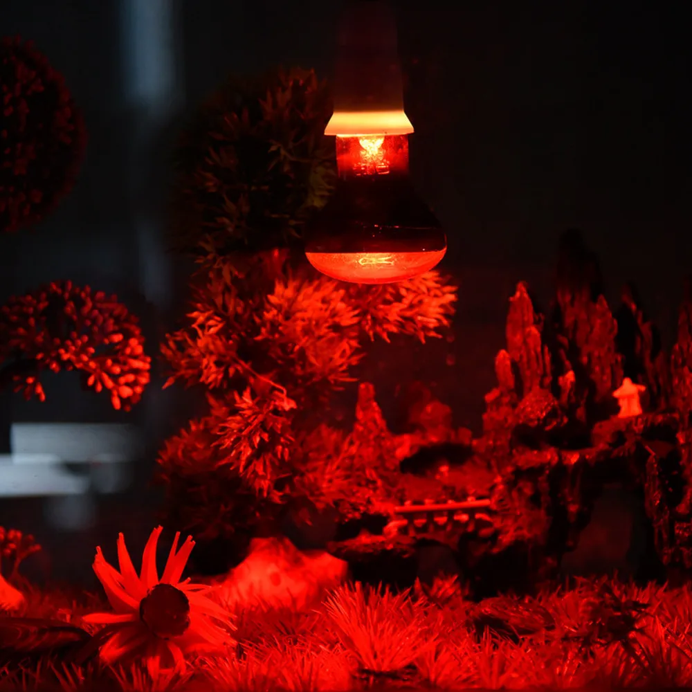 E27 Red Light Amphibian Bird Snake Reptile Night Heating Lamp Heating And Insulation For Lizards Turtles And Snakes