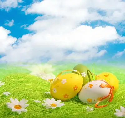 

10X10ft Customize vinyl photography backdrop newborn easter wood computer print background for photo studio F-016