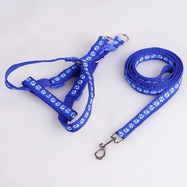 2018-Pets-Use-Dog-Harness-Leads-Sets-Cute-Colorful-Style-Harness-Nylon-Line-Leashes-Sets-Small.jpg_640x640 (3)