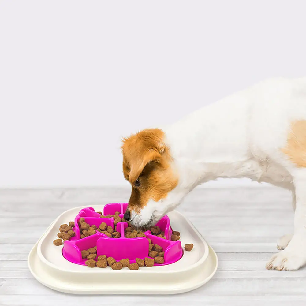 Pet миска для кормления собаки Собака Кошка Интерактивная медленное питание кормушка здоровая анти-глотание товары для кормления дропшиппинг