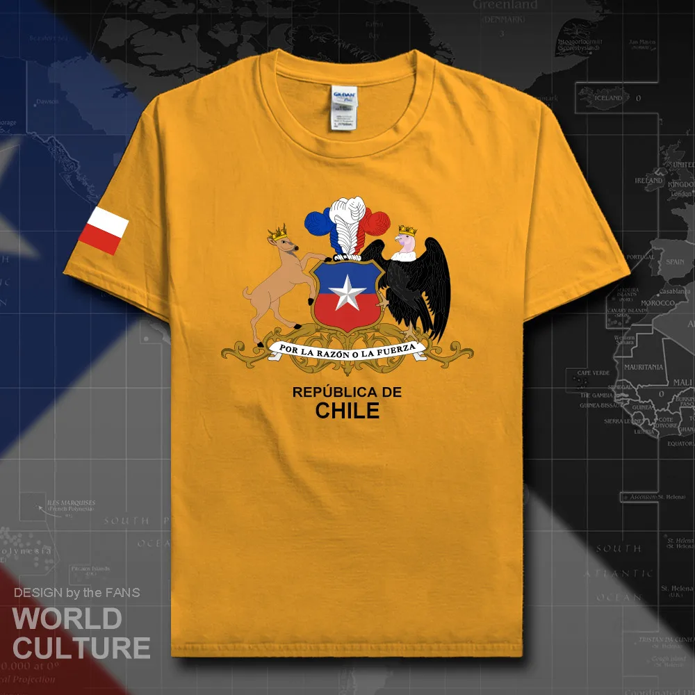 HNAT_Chile20_T01gold