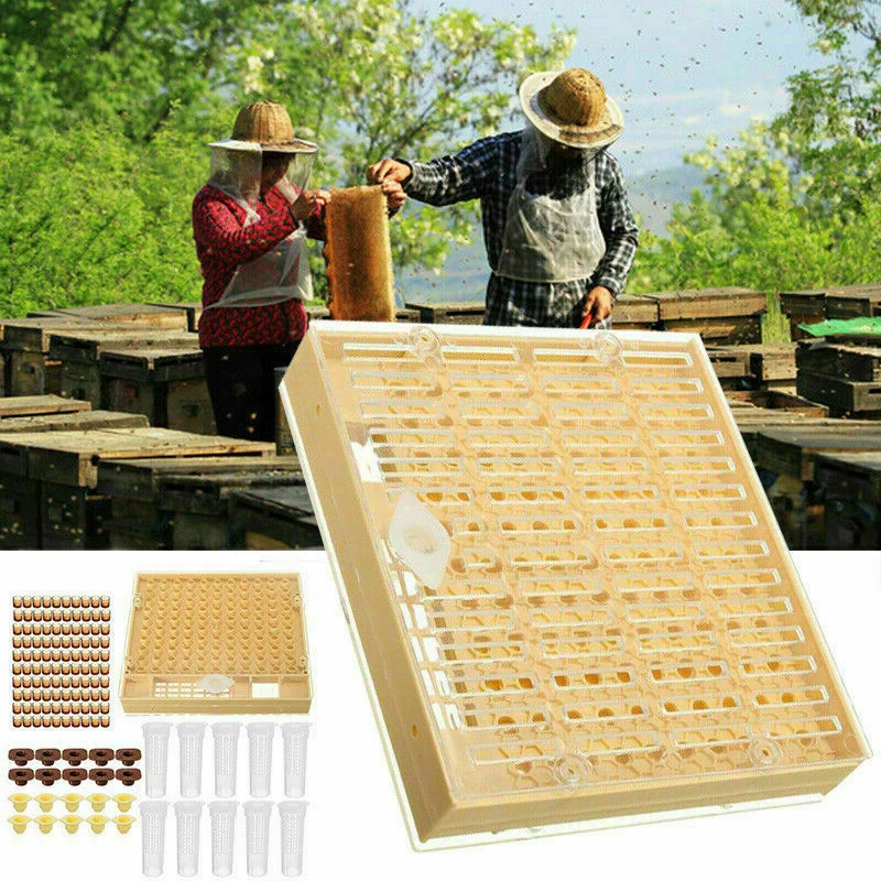 

1* Bee Queen Rearing System Beekeeping Box Case Cell Cups 14.7*13*2.8cm Parts