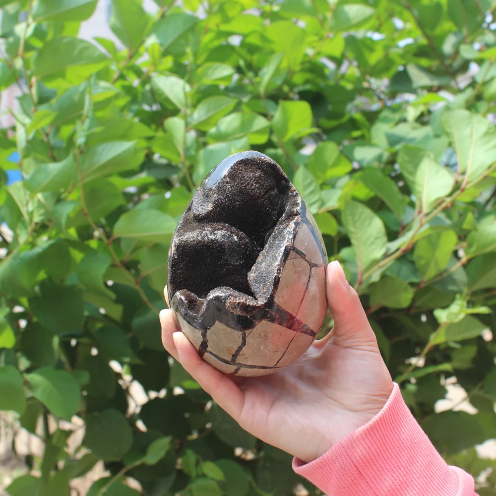 

1210g Natural curvature of the furnishing articles Turtle grain stone egg Ball Septarian nodule Crystal Healing quartz