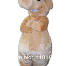 Солнцезащитные очки для талисманов собака Филли Доуг костюм талисмана Модный на заказ костюм аниме маскарадные костюмы маскот маскарадное платье карнавальный костюм