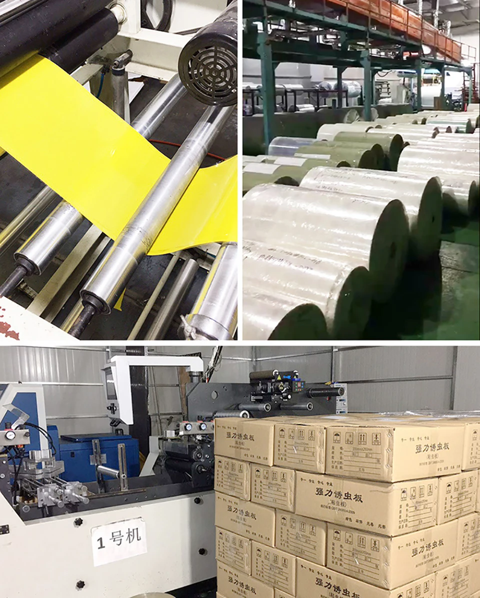 9143525482_1124398428