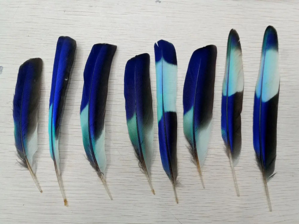 Online Buy Wholesale kingfisher from China kingfisher Wholesalers