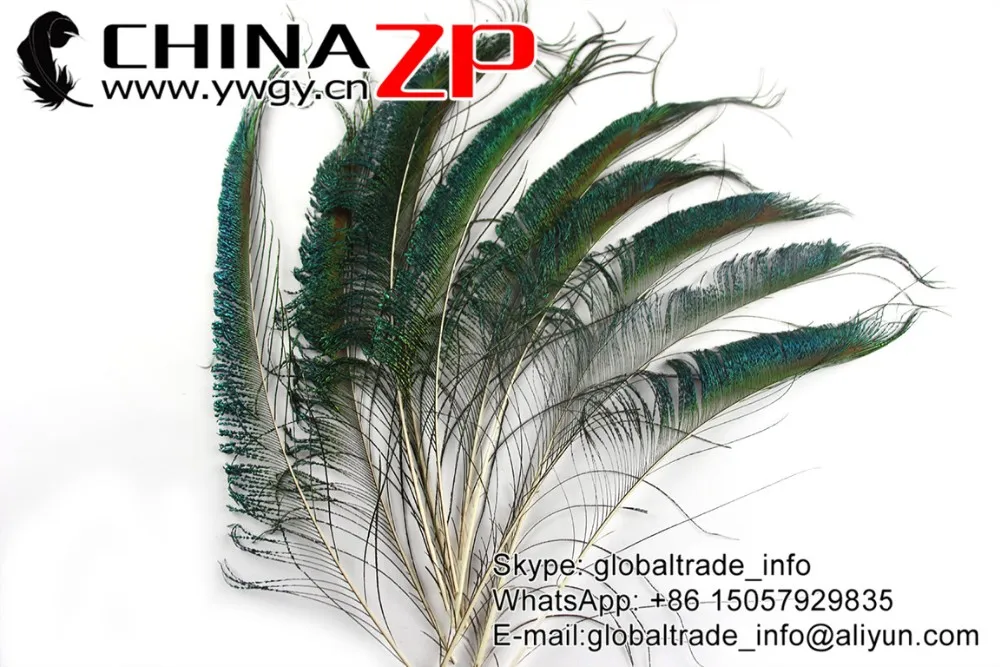 Peacock Sward Cut Feathers Natural (2)
