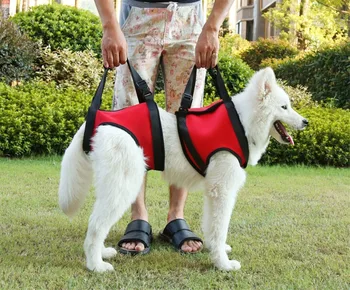 Hand Strap Vest Dog