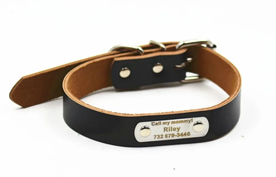 HTB1yNTWJVXXXXaMXFXXq6xXFXXXE