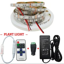 5M LED Grow Light 3:1 3 Red 1 Blue Aquarium Led Grow Lamp+Power Supply+ Led Dimme Controller for Greenhouse Hydroponic