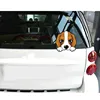 Exterior Accessories
