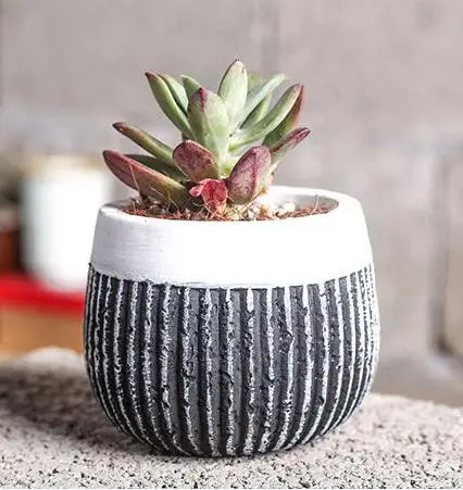 

silicone mold 3d cement vase Multi - meat planter modern style multi - flower pots ceramic Vertical stripes mould