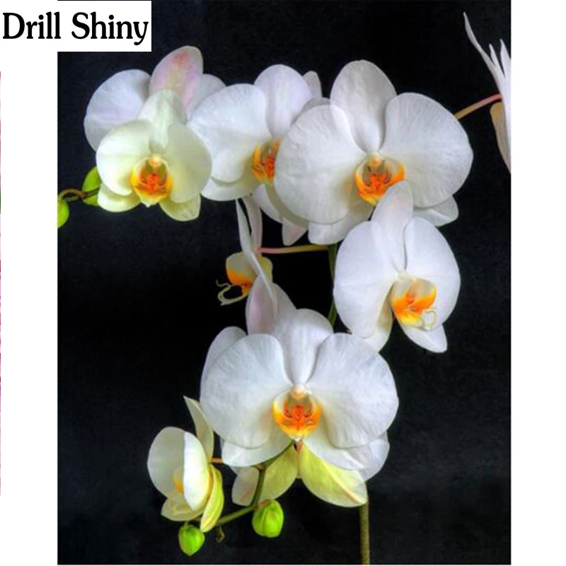 

Needlework diy diamond painting cross stitch kits resin square diamond embroidery Mosaic Home Decor flower white orchid fc373