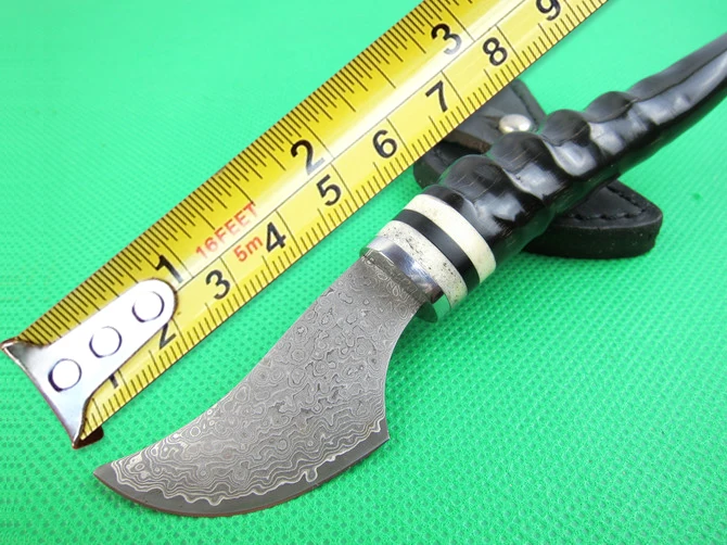 

Best Quality Minin Damascus Collection Knives Cornu Procaprae Gutturosae Handle Small Fixed Blade Knife Utility Hunting EDC Tool