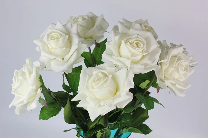 8 white detail