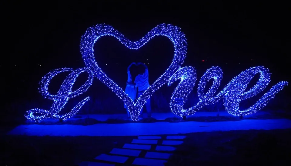 Lighting Strings wedding christmas lights led strings 10m AC220V 110V Led Strip Light Garden Garland (15)