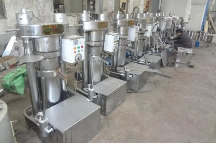 hydraulic sesame cold press oil