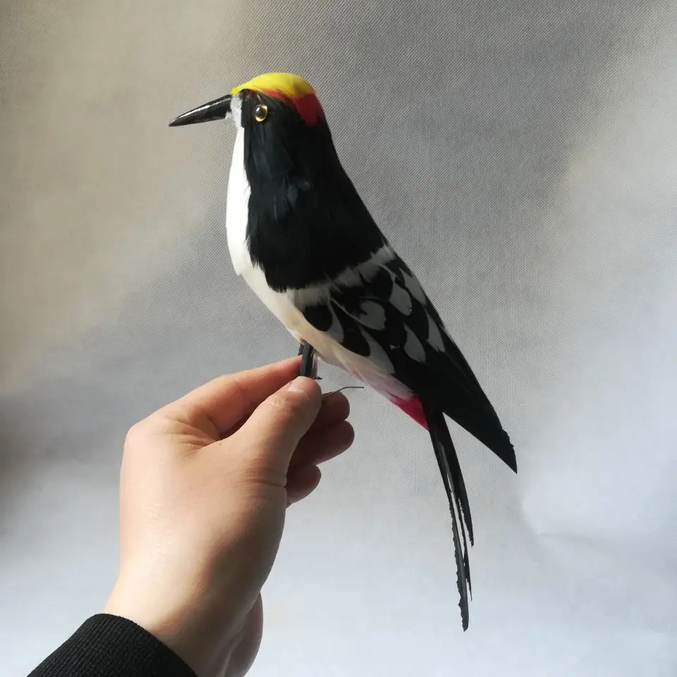 real life Bird feathers woodpecker model large 30cm wood peacker bird garden decoration filming prop toy gift h1450 2 pcs dollhouse door curtain decoration door white toy miniatures wood tiny accessories