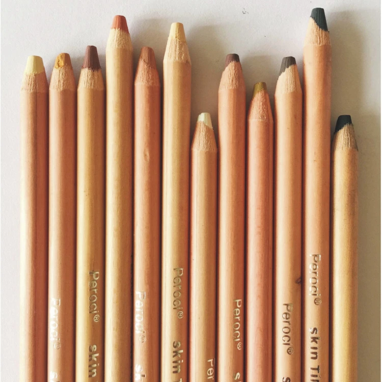 12pcs/lot Professional Pastel Pencils Skin Thicker Lead Wood Color