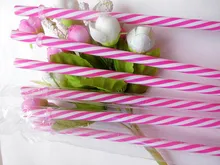 2015 (100 Pc/Lot) Reusable Biodegradable Distored Color Beverage Hard Plastic Stripe drinking Straws With 1 Free Straw Brush