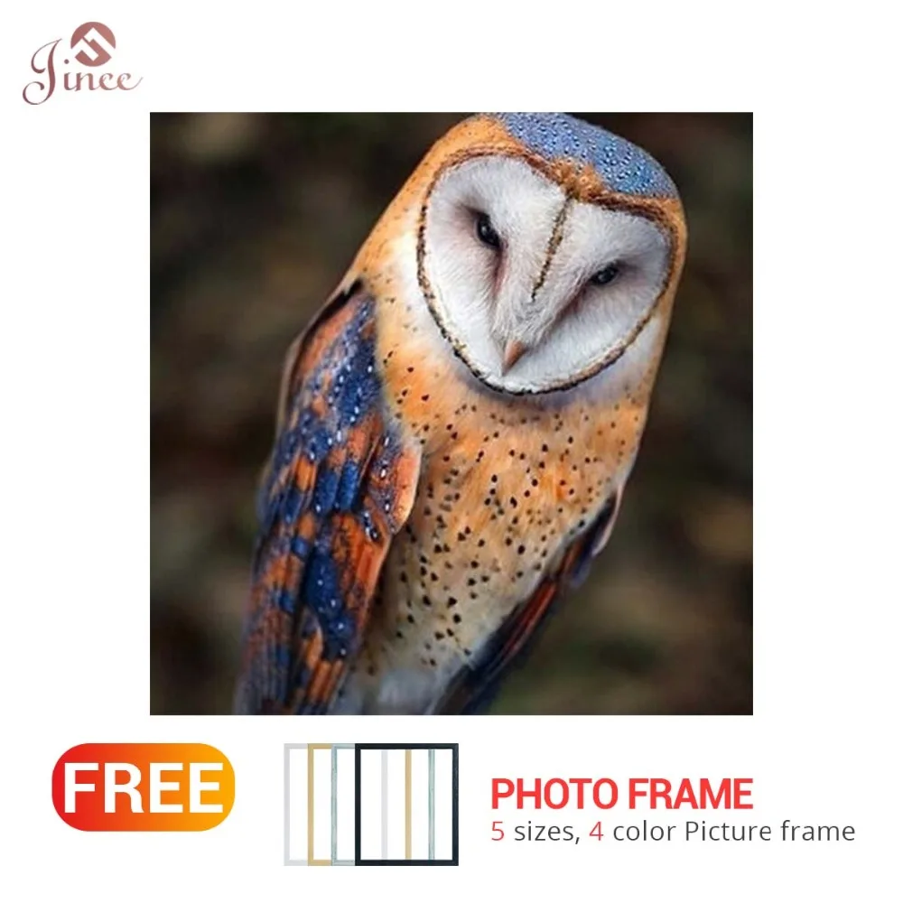 

5D DIY NEW Animal Diamond Painting Full Round Owl Bird Diamond Embroidery cross stitch mosaic Square Rhinestone Home Decor Art
