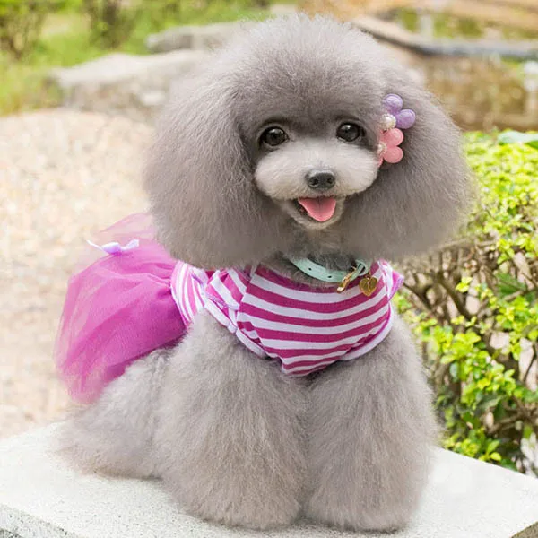 Лидер продаж маленькая собака одежда милая собака щенок в полоску с бантом Кружево платье-пачка