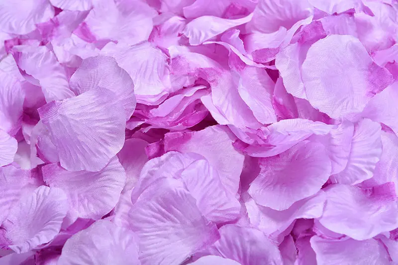2382-37-10pcs-purple-
