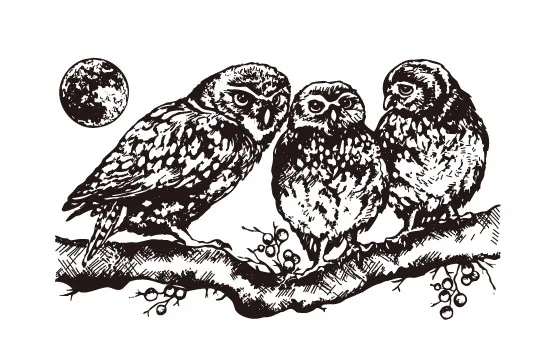 

Animal Transparent Clear Stamps for DIY Scrapbooking/Card Making/Kids Christmas Fun Decoration Supplies