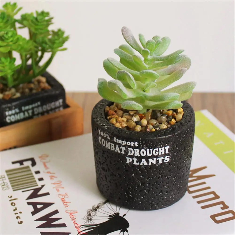 Innovative Decorative Flower Artificial Fleshiness Cactus Aloe Succulent Plant Bonsai Local Landscape Home Balcony Decoration Innovative Decorative Flower Artificial Fleshiness Cactus Aloe Succulent Plant Bonsai Local Landscape Home Balcony Decoration