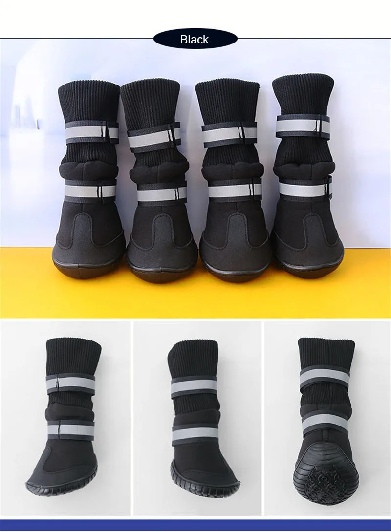 shoes dog (7)