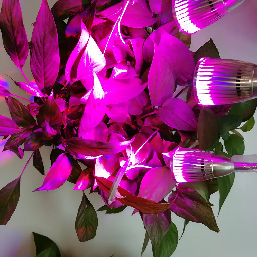 IMG_20180525_141407_