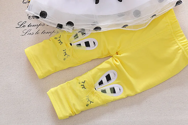 7570278462_346669714