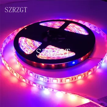 

5M Waterproof 5050 Grow LED Flexible Strip Tape Light 3 / 4 / 5/6/7/8 Red 1 Blue Aquarium Greenhouse Hydroponic Plant Grow Lamp