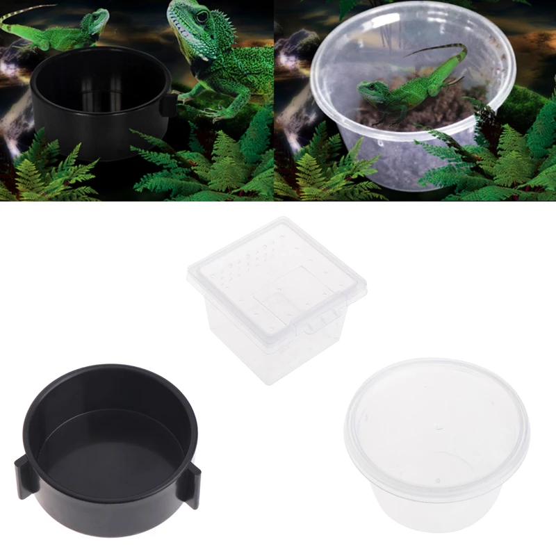 

Reptile Insert Box Breathable Breeding Feeding Case Plastic Transport for Lizard