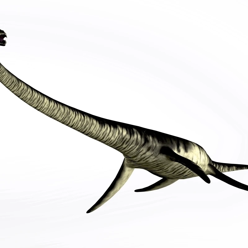 Elasmosaurus marine reptile from the Cretaceous Period Poster Print (16 x 12)